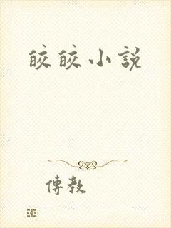 皎皎小说封面