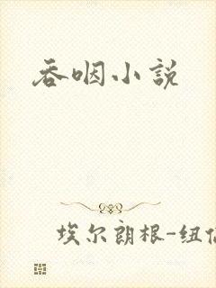 吞咽小说