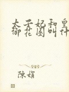 太子妃和皇帝在御花园叫什么小说封面