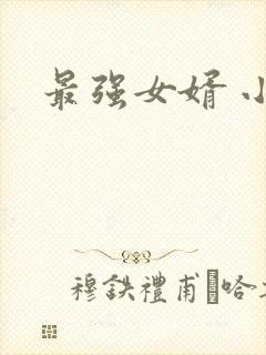 最强女婿 小说
