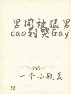 男同被猛男房东cao到哭Gay