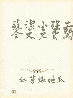 苏洁小强工地情全文免费阅读