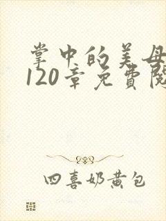 掌中的美母版主120章免费阅读