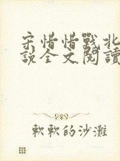 宋惜惜战北望小说全文阅读