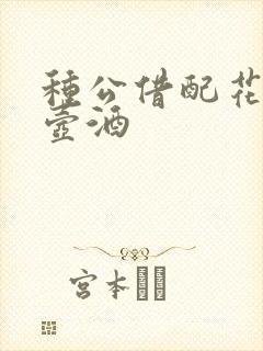 种公借配花间一壶酒