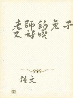 老师的兔子又大又好吃封面