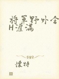 将军野外含公主H灌满封面