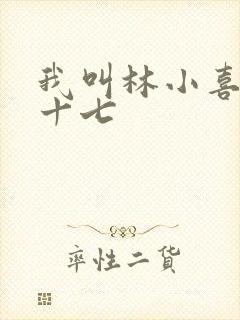 我叫林小喜今年十七