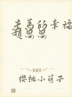 老马的幸福生活赵思思