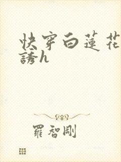 快穿白莲花的引诱h