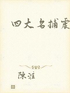 四大名捕震关东