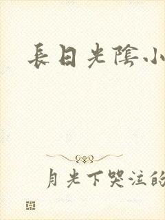 长日光阴小说