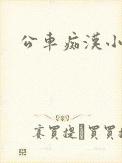 公车痴汉小说封面