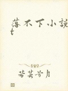 落不下小说txt
