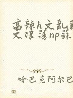 高辣h文乱乳h文浪荡np苏夏封面