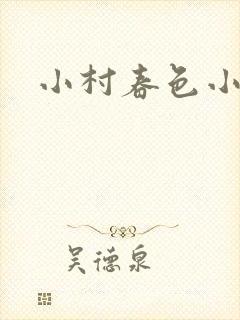 小村春色小说封面