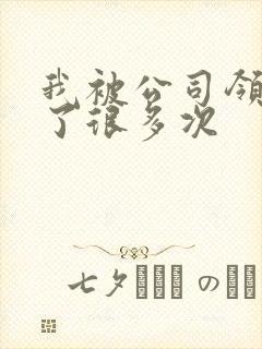 我被公司领导C了很多次