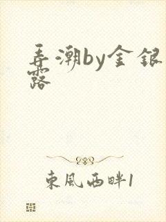 弄潮by金银花露封面