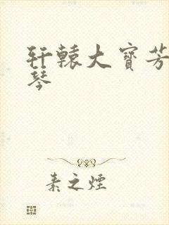 轩辕大宝芳菲雅琴封面