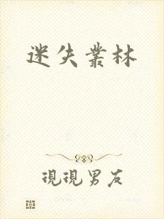 迷失丛林封面