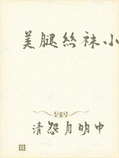 美腿丝袜小说封面
