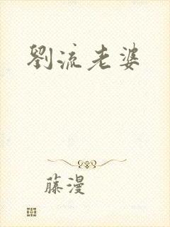 刘流老婆