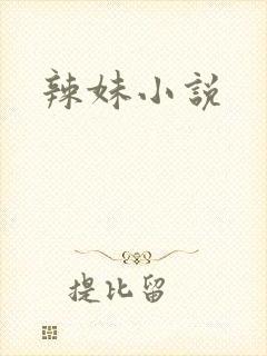 辣妹小说封面