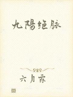 九阳绝脉封面