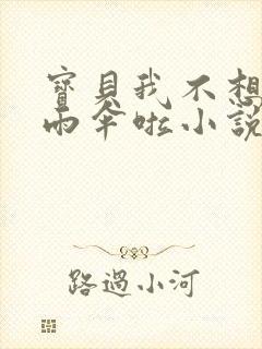 宝贝我不想带小雨伞啦小说