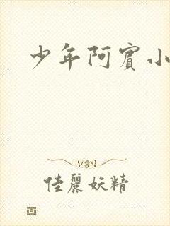 少年阿宾小说
