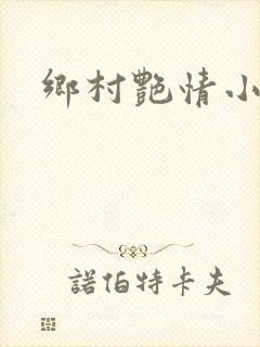 乡村艳情小说
