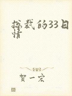 总裁的33日索情