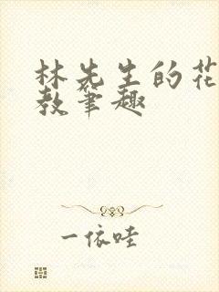 林先生的花式管教笔趣