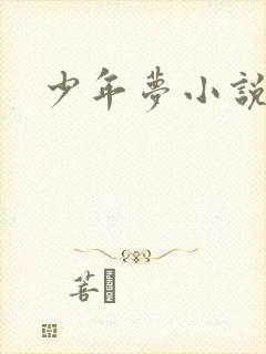 少年梦小说