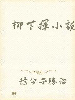 柳下挥小说封面