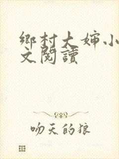 乡村大婶小说全文阅读封面