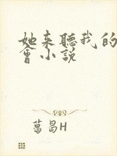 她来听我的演唱会小说