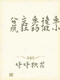 公交车后车座的疯狂的做小封面