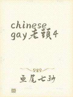 chinesegay老头4封面