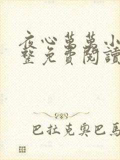 夜心万万小说完整免费阅读全文