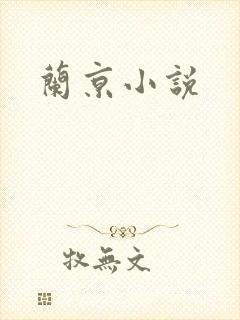 兰京小说封面