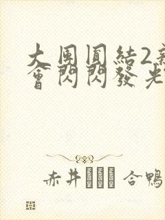 大团圆结2亲情会闪闪发光亲情会在线观看