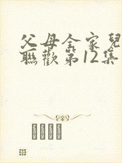 父母全家儿女大联欢第12集封面