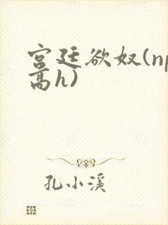 宫廷欲奴(np高h)