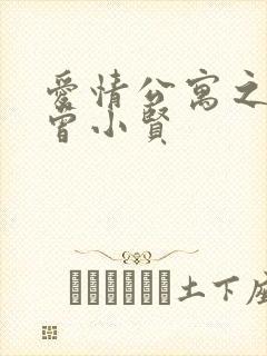 爱情公寓之极品曾小贤