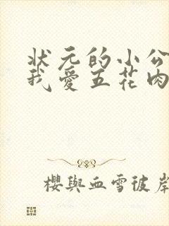 状元的小公主(我爱五花肉)封面