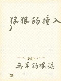 狠狠的撞入(h)