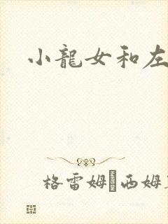 小龙女和左剑清封面