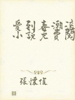 爱到春潮滚滚来小说免费阅读