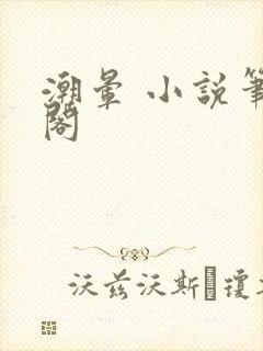 潮晕 小说笔趣阁